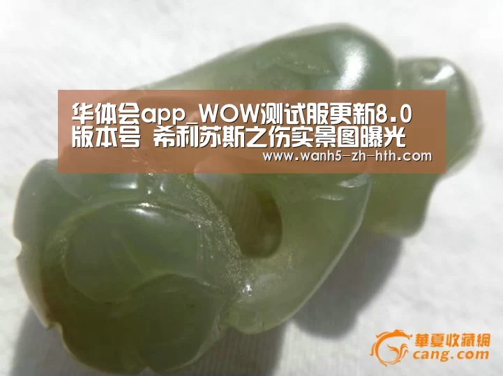 华体会