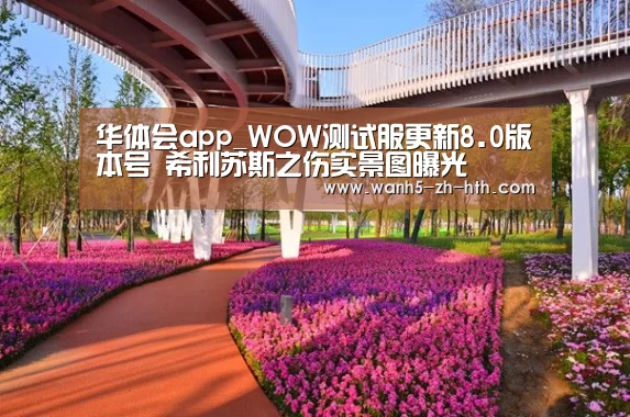 华体会app