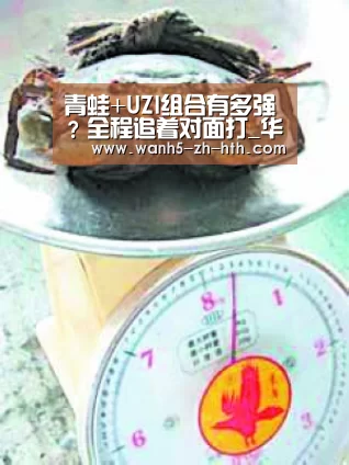 华体会